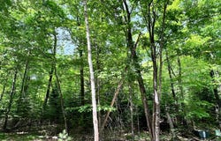 WHITE PINE LOOP lot: 33, Eagle River, WI 54521