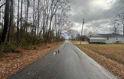 3430 Bluffside Drive, North Chesterfield, VA 23237