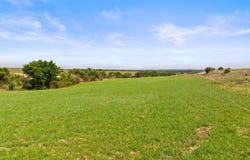 Tbd County Road 207, Burnet, TX 78611