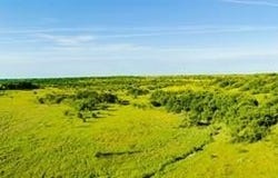 CR 247, Oplin, TX 79510