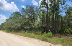 SW 76 LANE, DUNNELLON, FL 34432