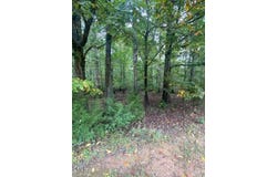 5514 Earl Road, Durham, NC 27712