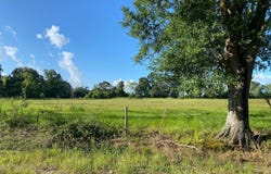 TBD Baudoin Rd, Maurice, LA 70555