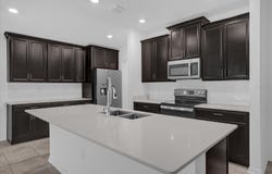 4712 MAGNETITE LOOP, MOUNT DORA, FL 32757