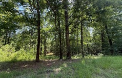 205 HWY 35, McCarley, MS 38940