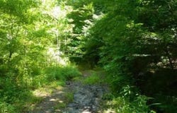 0 Laurel Creek Rd (DB 344, DP 515), Louisa, KY 41230