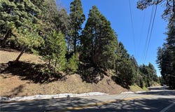 0 North Road, Twin Peaks, CA 92391