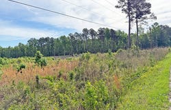 McCall's Millpond Rd, Bennettsville, SC 29512