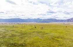1325 E 6248 N, Ephraim, UT 84627