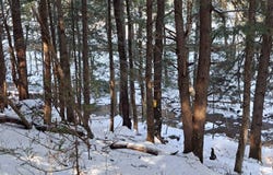 L 17 Rice Road, Hope, NY 12134