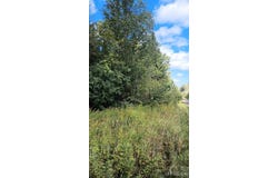 Pierce Street, Wakefield, MI 49968