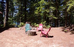 Cabin 44 Northwoods, Cougar, WA 98616