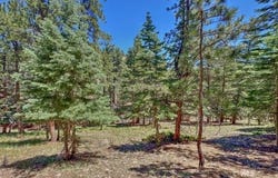 796 N Matterhorn Cir, Westcliffe, CO 81252