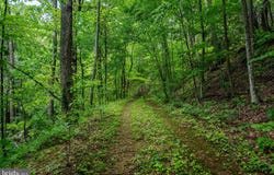 0 HELMS RD, STANLEY, VA 22851