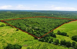 406 Horner Drive, Bradleyville, MO 65614