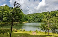 80 Tanya Ln, Dunlap, TN 37327