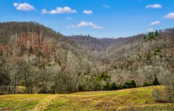2578 Pea Ridge Rd, Liberty, NC 27095