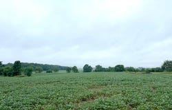 TBD 1450 N, Alexandria, IN 46001