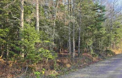 Hawkins Road, Dummer, NH 03588
