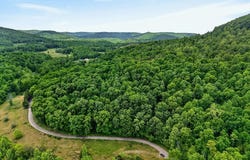 Sunk Cane Road, Crawford, TN 38554
