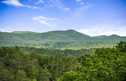 35 The Bluff, Morganton, GA 30560