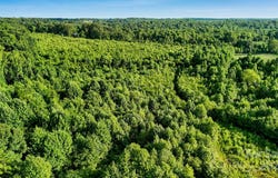 150 Parker Feimster Lane, Stony Point, NC 28678