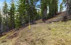 Nna Country Club Drive, Kellogg, ID 83837