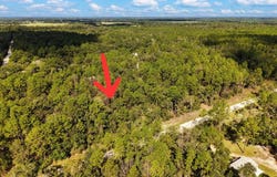 6339 NW 17th Ct, Bell, FL 32619
