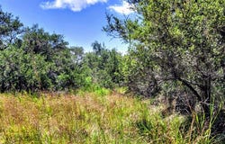 Proposed Hwy 35 Bypass, ROCKPORT, TX 78382