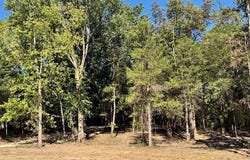 113 Elizabeth Court, Wright City, MO 63390