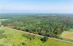80 Acres 240th Street, Cornell, WI 54732