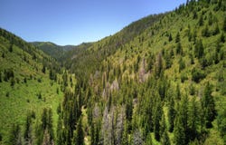 TBD County Road 249, Rifle, CO 81650