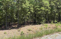 Island Shores lot: 26, Greers Ferry, AR 72067