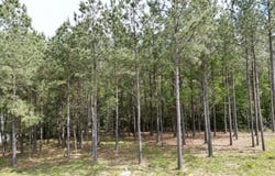 5140 Crockett Point, Jasper, TN 37347