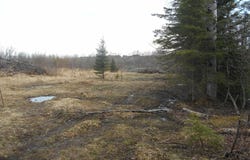Lower Worham Roads, Chassell, MI 49916