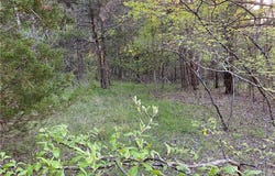 W Greenwood DR, Diamond City, AR 72644