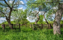 3900 Fm-2191, Falfurrias, TX 78355