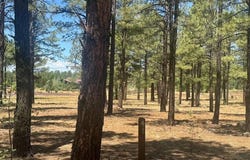 9576 Sierra Springs Drive, Pinetop, AZ 85935