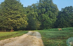 5 Allen Ln, Brush Creek, TN 38547