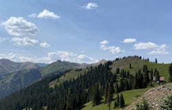 County Road 51 & 51A, Silverton, CO 81433