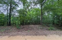 TBD Luffey Rd., Farmerville, LA 71234