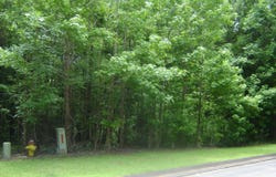 Cambridge Court lot: 17, Lanett, AL 36863