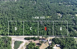 Par B W Almy Road, Howard City, MI 49329