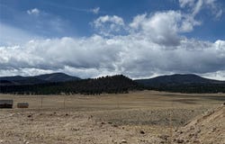 69 Buggy Court, Hartsel, CO 80449