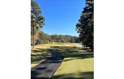 520 Wateroak Trail, Chapin, SC 29036