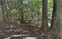 Lot Lake View Drive, Lavonia, GA 30553