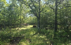 1021 Sedar Hill(Parcel D), Calumet, MI 49913