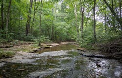 5410 Highway 92, Russell Springs, KY 42642
