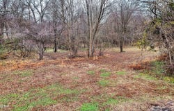 641 Forrest Avenue, McKenzie, TN 38201