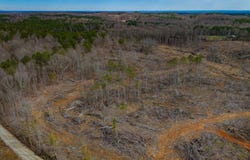 0 County Road 217 Lot 1, Blue Springs, MS 38828